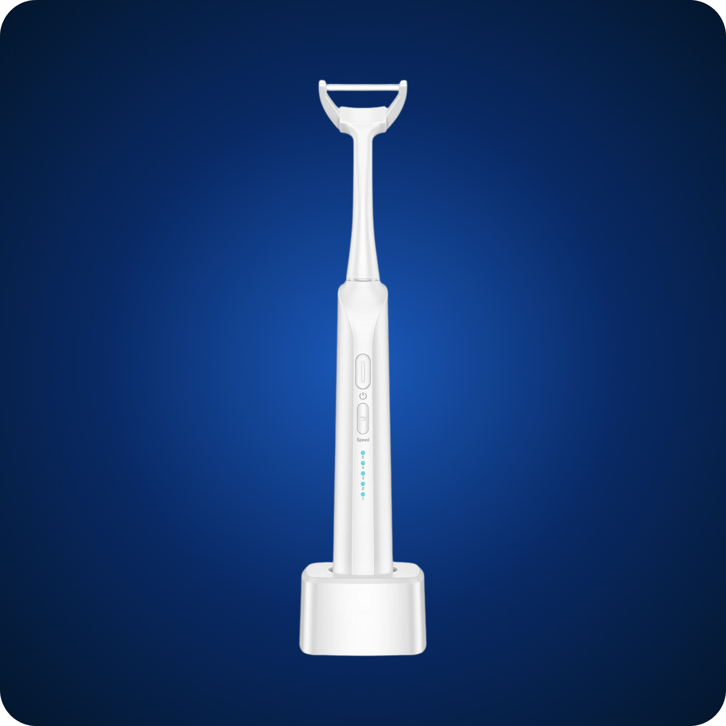 Elektrisk flosser-sæt