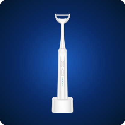 Elektrisk flosser-sæt