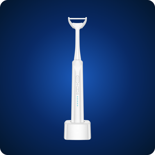 Elektrisk flosser-sæt